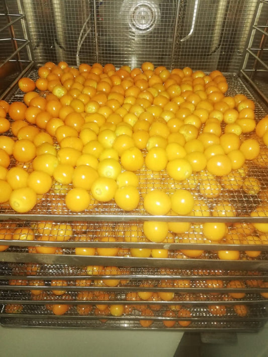 Aguaymanto deshidratado 400 gr